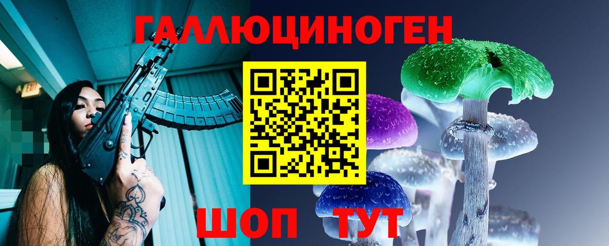 Псилоцибиновые грибы Psilocybe Грозный
